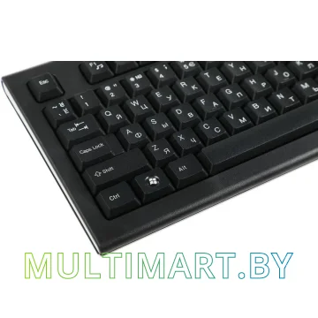Комплект клавиатура + мышь A4Tech 3000NS картинка 5